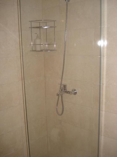 a shower with a glass door with a shower head at Apartman Lipa in Bar