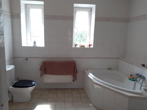 Koupelna v ubytování Lusatia House
