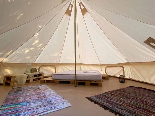 a tent with two mats and two rugs in a room at Campingul Apusenilor in Şuncuiuş