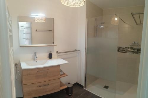 La salle de bains est pourvue d'un lavabo et d'une douche. dans l'établissement Superbe T3, havre de paix, entre plage et village, à Capbreton