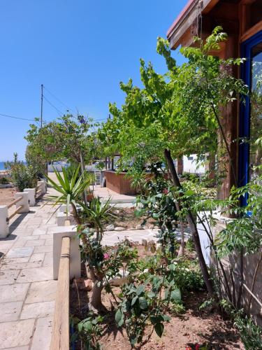 a garden with trees and plants next to a building at ISALOS ROOMS ON THE BEACH in Serifos Chora
