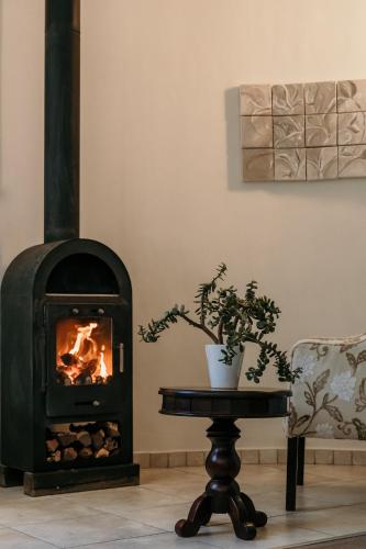 a fireplace in a living room with a table and a plant at Artemis Hotel Swakopmund in Swakopmund