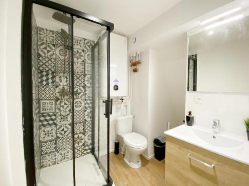 un bagno con doccia, WC e lavandino di Hypercentre 8 Toulousain bel appartement climatisé a Tolosa