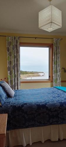 a bedroom with a bed and a large window at Surat Bay Lodge by the Sea/Backpackers Hostel in Owaka