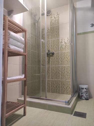 a shower with a glass door in a bathroom at Apartma Erik Piran in Piran