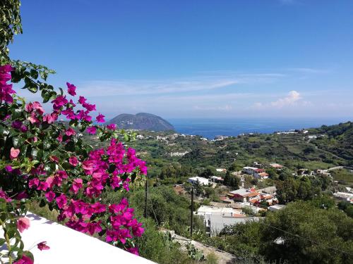 Φυσικό τοπίο κοντά σε αυτή η παραθεριστική κατοικία
