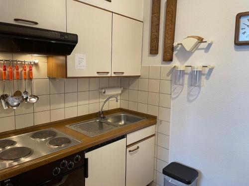 a small kitchen with a sink and a refrigerator at Apartment Cora in Winterberg