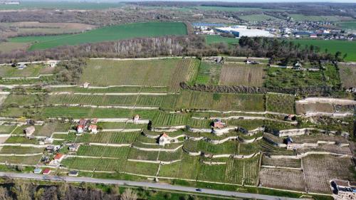 Φωτογραφία από το άλμπουμ του Ferienhaus Traminer im Weinberg σε Freyburg
