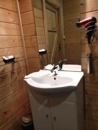 a bathroom with a white sink and a mirror at Bed En - of zonder - Breakfast Putten in Putten
