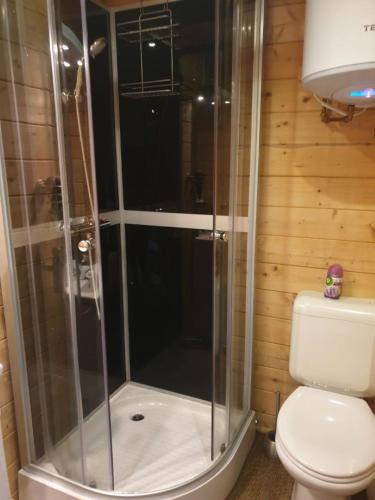 a bathroom with a shower and a toilet in a room at Bed En - of zonder - Breakfast Putten in Putten