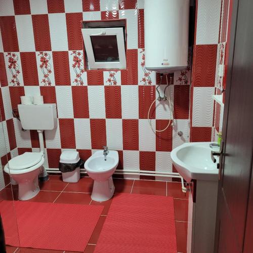 a small bathroom with a toilet and a sink at Casa UILA in Orşova