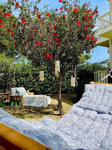 Jardín al aire libre en Eora Studios