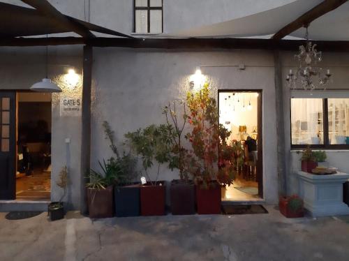 a store front with a bunch of potted plants at Guesthouse Gate5 in Anadia