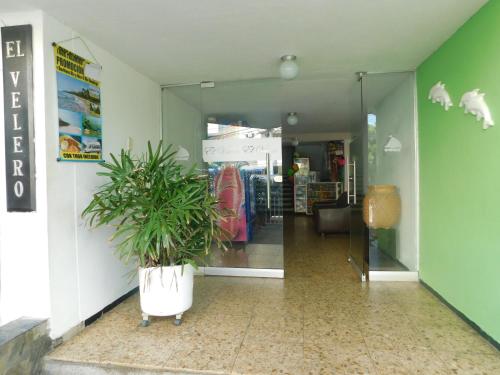 a room with a potted plant in front of a store at El Velero Apartamentos By DANP in Santa Marta