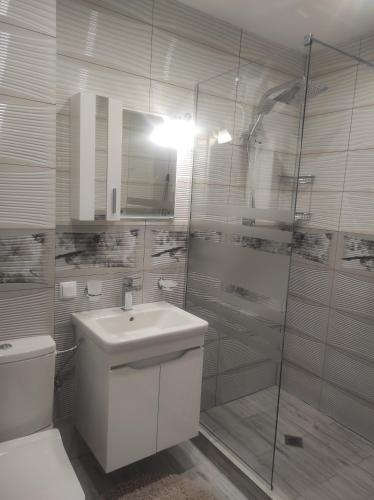 a bathroom with a toilet and a sink and a shower at Апартамент Четири сезона 2 in Velingrad