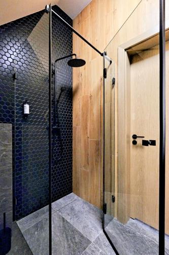 a shower with a glass door in a bathroom at Harda House Friends & Spa in Zakopane