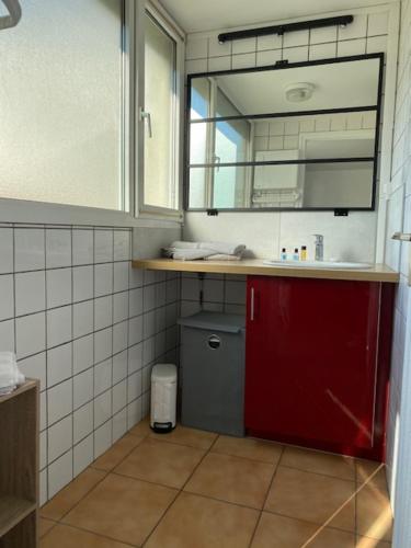 een badkamer met een wastafel en een rode deur bij Résidence About Malo RDC avec jardin lumineux à 2 pas de la plage in Duinkerke