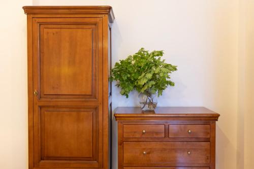 a wooden cabinet with a plant on top of a dresser at Heritage Hotel Tisno in Tisno