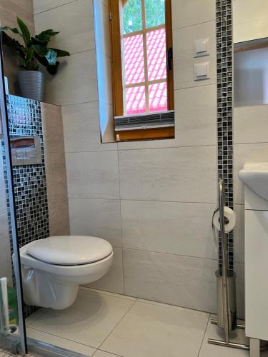 a bathroom with a toilet and a sink at Stolove Chatki Radków in Radków
