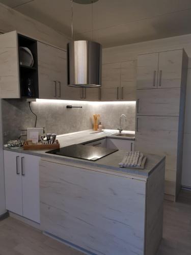a kitchen with a sink and a counter top at Hollers Holiday Homes Haus Max in Drage