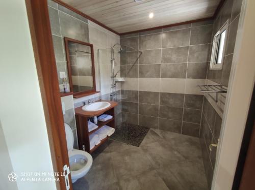 a bathroom with a shower and a sink and a toilet at VILLA GRONDIN in Cilaos