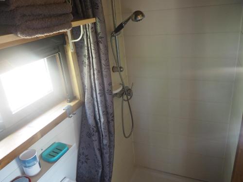 um chuveiro na casa de banho com uma cortina de chuveiro em Tiny house eco resort em Estevais