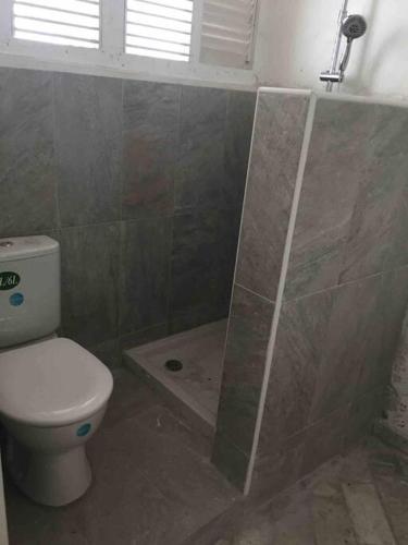 a bathroom with a toilet and a shower at 5 min d'Orient bay-vue imprenable, Idolem résidence unité 8 - 57 Rue du Mont Vernon 1 in Cul de Sac