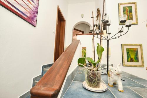a table with a potted plant on top of it at La Villetta in Pula