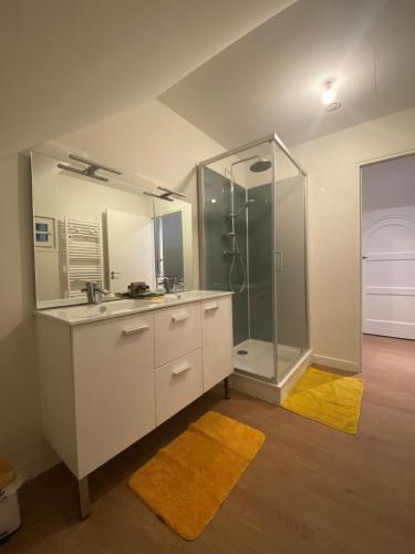 une salle de bain avec une douche, un lavabo et un miroir dans l'établissement La Seigneurie des Ondes, à Saint-Benoît-des-Ondes