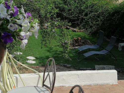 Κήπος έξω από το Villa Lysa