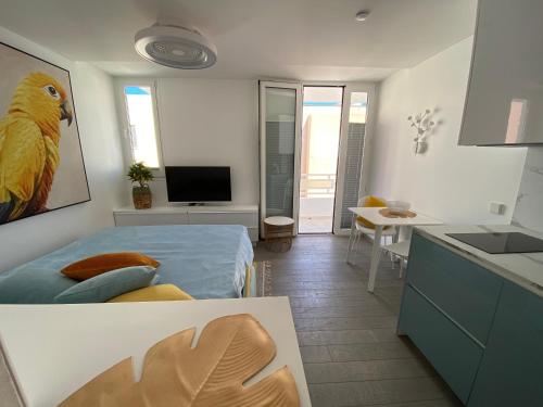 Η κουζίνα ή μικρή κουζίνα στο AMBER APARTMENTS - SUNNY STUDIO