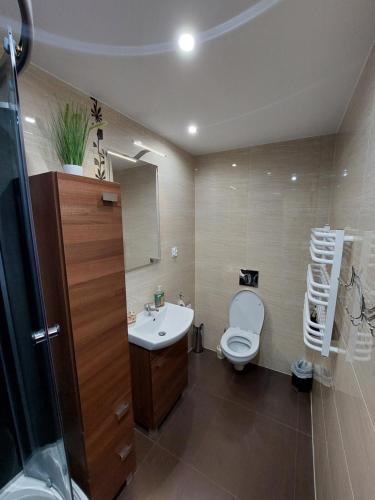 シフィエラドゥフ・ズドルイにあるGórski Rajのバスルーム(トイレ、洗面台付)