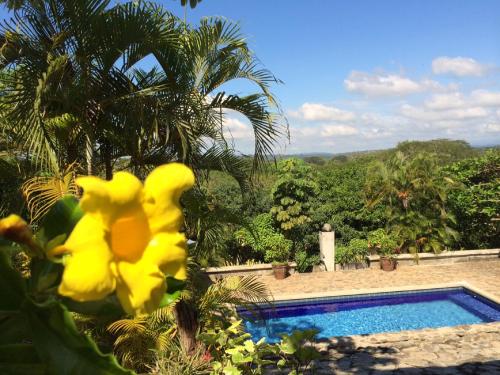 a yellow toy duck sitting next to a swimming pool at 3 Architectural Homes, Wi-fi and Pool in Lagunillas