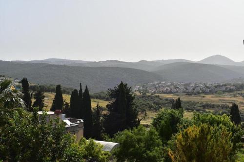a view of a city from a hill with trees at Chateau du Roi in Mi‘ilyā
