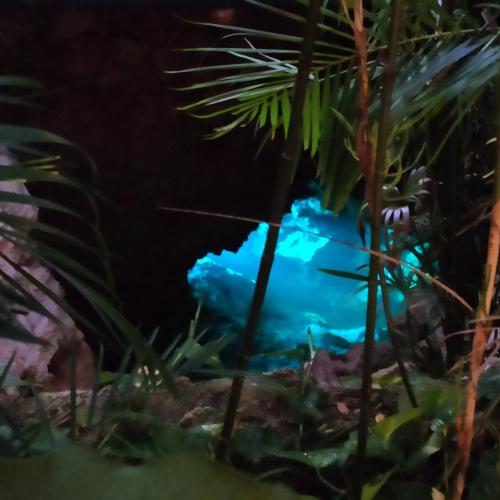 a fishtank in a aquarium at night at Azcapri Villa Boutique & Spa in Cancún