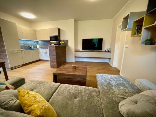 a living room with a couch and a tv and a kitchen at Polanský Dvůr in Velké Karlovice
