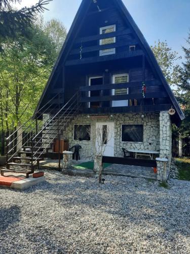 una casa con techo azul y escalera en Cabanuta Dan & Alex, en Cârţişoara