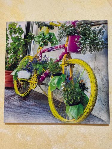 a yellow bike with a bunch of plants on it at AFFITTACAMERE L'ARCOBALENO in Porto Torres