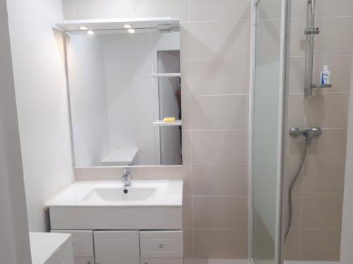 une salle de bain avec un lavabo et une douche dans l'établissement Appartement 67 M2 COMEDIE Centre Ville MONTPELLIER, à Montpellier