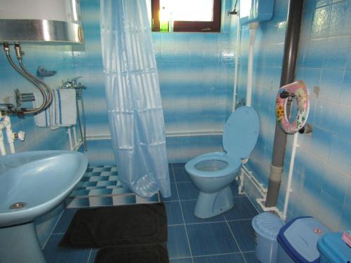 uma casa de banho azul com um WC e um lavatório em Apartman Milena em Kladovo