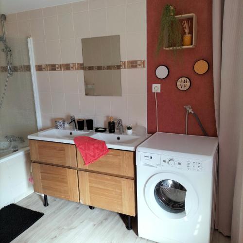 ein Badezimmer mit einer Waschmaschine und einem Waschbecken in der Unterkunft Gîte Belle Fleur 6 personnes- Vosges in Saint-Nabord
