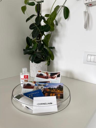 a glass tray with books on a table with a plant at BrixHome in Laveno-Mombello