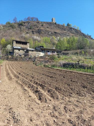 a field with a house on top of a hill at casa vacanza da ghislin in Teglio