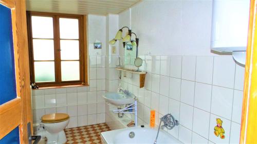 a bathroom with a toilet and a sink at Fischerhaus Godewind 60 qm in Altwarp