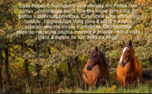 Άλλα ζώα σε αυτό το κατάλυμα σε φάρμα ή στη γύρω περιοχή