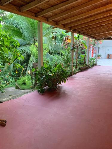 a covered walkway with plants in a garden at Hotel La Casablanca Tayrona in Calabazo