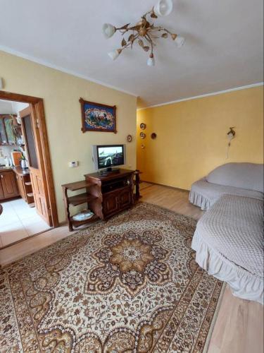a bedroom with a bed and a television and a rug at Apartment on Voli Avenue 21 in Lutsk