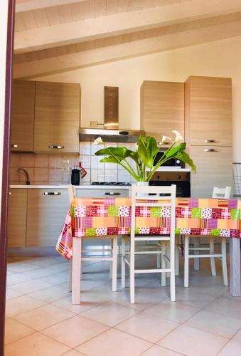 a kitchen with a table and chairs and a plant at Le Case di Loris in SantʼAntìoco