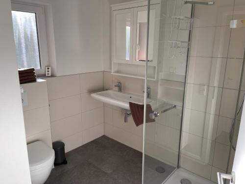 een badkamer met een wastafel en een glazen douche bij Haberstraße 4A Neumünster in Neumünster