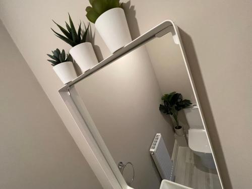 a mirror with some plants on top of it at New Stylish Sleeps 7 free parking contractors welcome in Birmingham